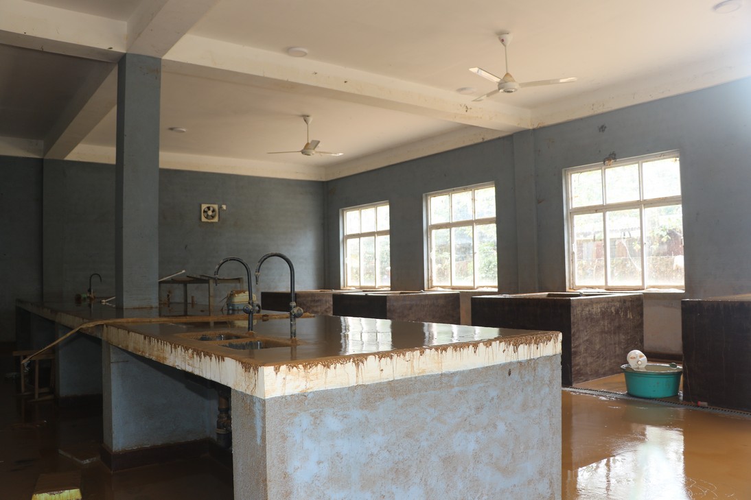 Flood damage image 11