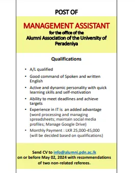 Management Assistant