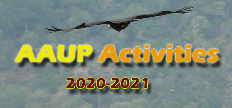 119-2020_-activities.png